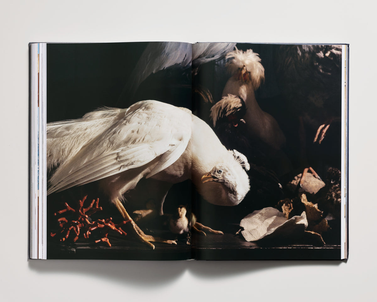 Issue 03: Poliform Cover